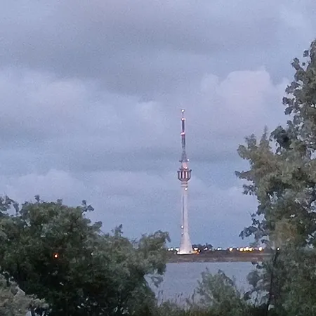 Проживание в семье Charm Junior